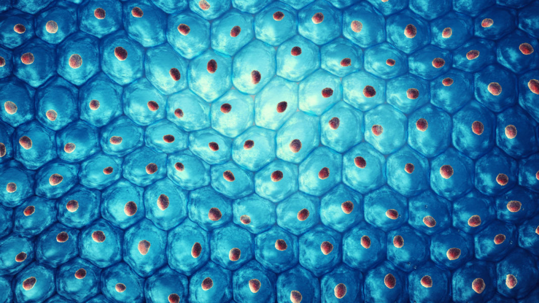 Stem Cell Regeneration: Neon Green & Electric Blue Scientific