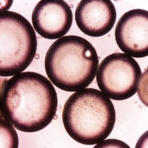 Nexa-RBC-LB-1000