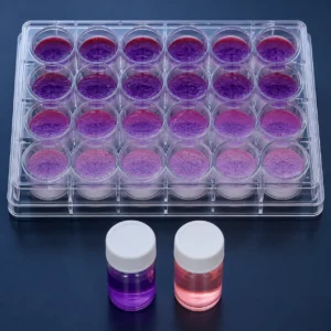 Nexa-MTT-T1 product image