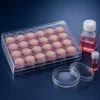 Nexa-RHE-T2 product image