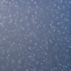 Nexa-ASCS-M5 product image