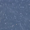 Nexa-ASCS-M6-PD product image