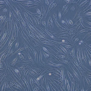 Nexa-ASCS-M6-PD product image
