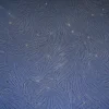 Nexa-HDRF-05 product image