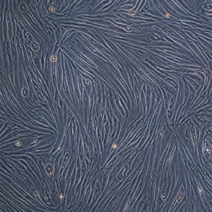 Nexa-BSM-M4 product image