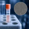 Nexa-HBSM-K2 product image